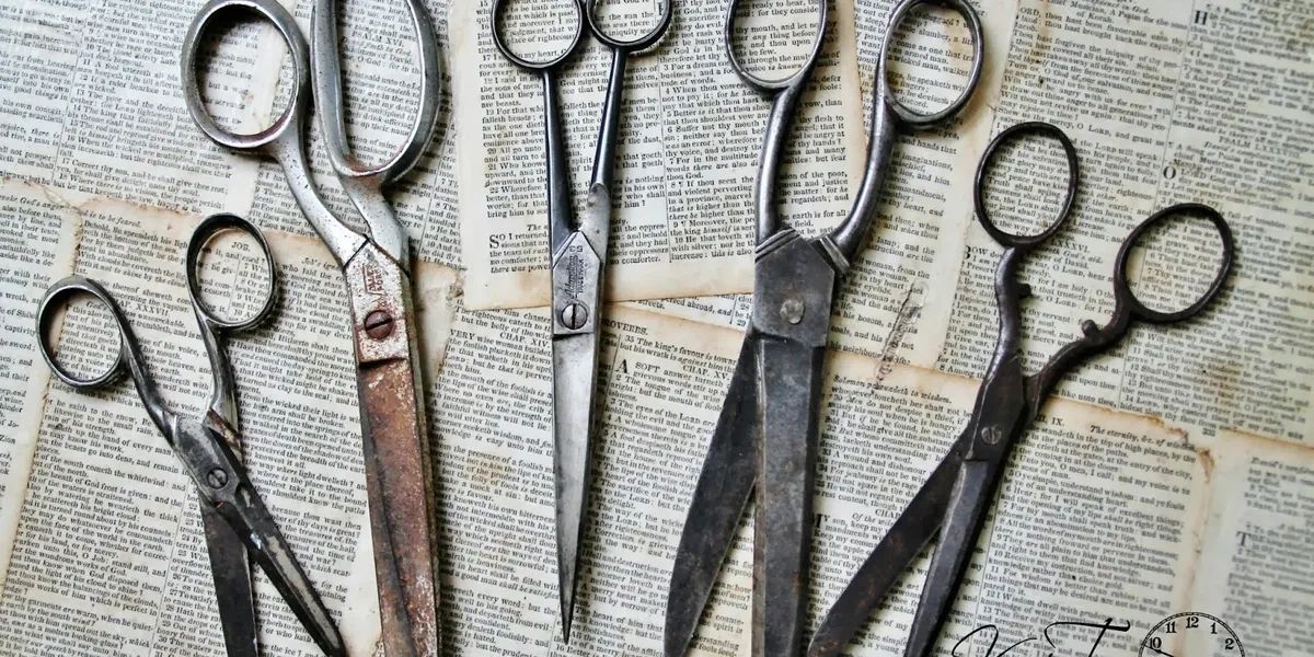 Professional scissors ready for sharpening